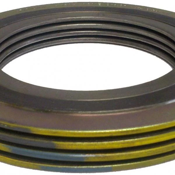  Spiral Wound Gasket Carbon Steel/Stenlis 